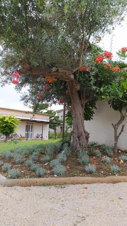 Relais Il Giardino Fra Gli Ulivi Villa Torino di Sangro Exteriör bild