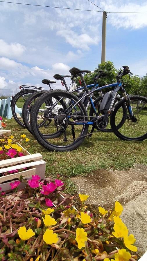 Relais Il Giardino Fra Gli Ulivi Villa Torino di Sangro Exteriör bild