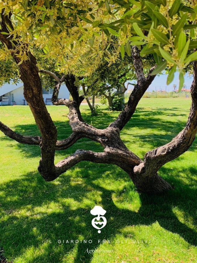 Relais Il Giardino Fra Gli Ulivi Villa Torino di Sangro Exteriör bild